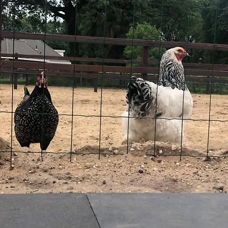 Tiny House Veluwse Garre * Garderen