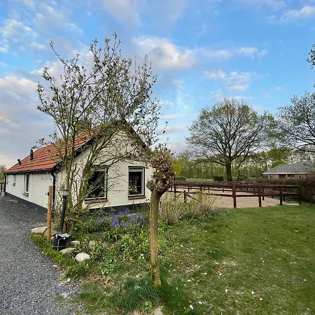 Tiny House Veluwse Garre Dom wakacyjny