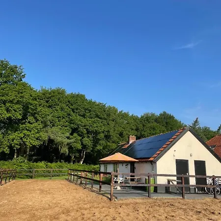 Tiny House Veluwse Garre 度假居